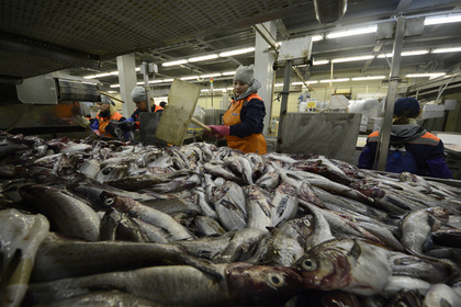 В России ответили на обвинения в захвате рыбного рынка в США