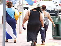 Ожирение спасает от перегрева в жару, выяснили эксперты