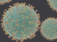 Компьютерная программа обнаружила потенциальные лекарства против коронавируса