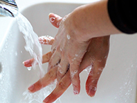 Ученые высчитали, как часто нужно мыть руки за день