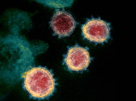 Генетики исследовали разные типы коронавируса, распространившиеся по миру