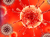 Особое антитело - реальная надежда на спасение от коронавируса