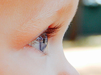 Неврологи показали, как обучение и зрение развиваются в детстве