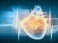 Кардиологи узнали, что нужно для восстановления сердца