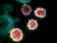 Коронавирус станет сезонной инфекцией вроде гриппа и ОРВИ, уверен эксперт