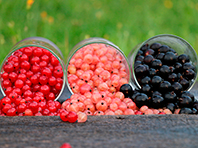 Врачи определили, какая ягода действительно может сделать вас здоровыми